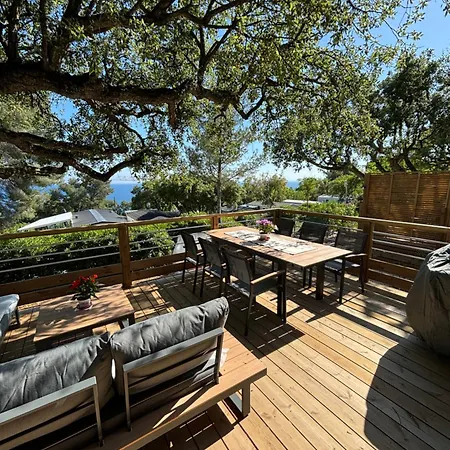 Vue Mer, Jacuzzi, Terrase, Jardin