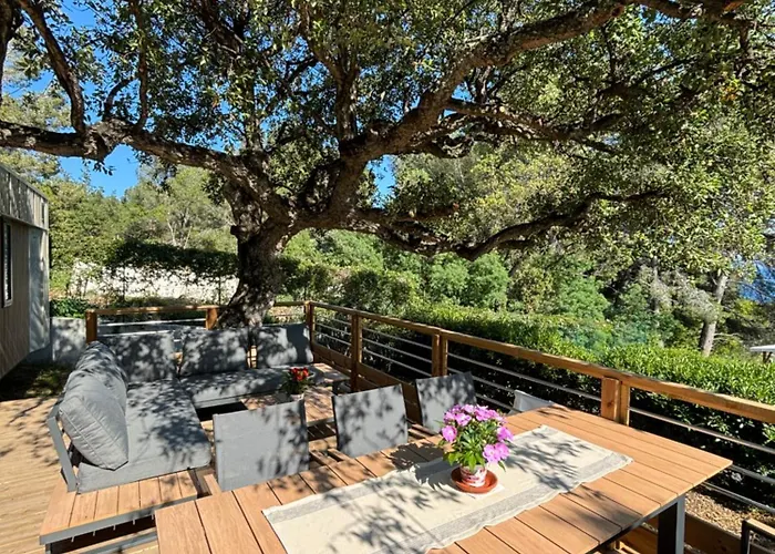 Vue Mer, Jacuzzi, Terrase, Jardin